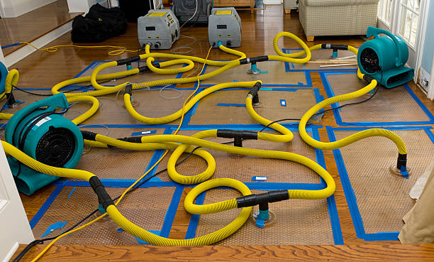 Professional Basement Flood Cleanup technician working in Brook Park, OH